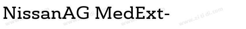 NissanAG MedExt字体转换
